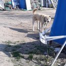 소구월사거리 이미지