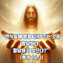 2025-10-31연중 제30주간 금요일＜아들이나 소가 우물에 빠지면 안식일일지라도 끌어내지 않겠느냐?＞ ✠ 하느님의 어린양 주 예수 이미지