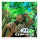 인천 인스파이어리조트 아기랑 다녀온 후기, 1박2일 선타워(조식2인 1부) 로룬타/오로라/돌고래 쇼...