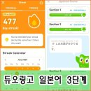 일본어 초급 2단계 | 노베이스 일본어 도전 듀오링고 3단계 시작(JLPT 도전 중)