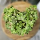 금비힐링공간 이미지