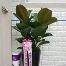 서울 마이티 체육관 이미지