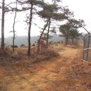 서달로 이미지