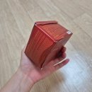 에프에이지 | 지성피부팩트추천(에이지투웨니스 벨벳 래스팅 팩트)
