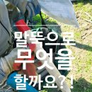 거창-고제-2 | [토지측량 완벽 정리] 밭 토지측량 신청 방법부터 경계 말뚝 박기까지 2시간 반 리얼 후기!