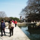 모산3 Daum카페