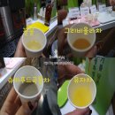 남부햄푸드 | [광명코스트코] 장보기 중 득템한 본비야생화꿀♥