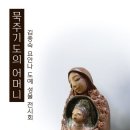 바오로성물 Daum카페