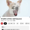 상평까페 | 갓생은 갓이 살아야지 내가 하는 게 아니야