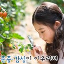 순천중앙초등학교 이미지