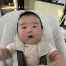닥스베이비 이미지