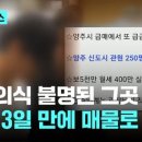 덕계 태권도 이미지
