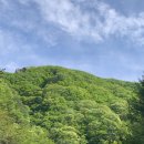거창 국민여가캠핑장 | 거창 국민여가캠핑장 미리내숲 안타레스