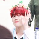 하빠하빠