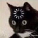 수중시티초밥 | 오사카 찍먹으로 끝내는 일본 여행 4