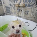 아임그루머 이미지