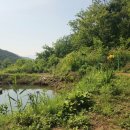 성곡농장 이미지