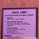엘르 | #30주 임신부 미라클 엘르맘 일산산전마사지 후기