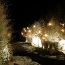 도원수영장 이미지