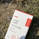 강아지 간수치 관리 시작 본아페티 간건강 캡슐 영양제 후기