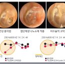 나노시스템 이미지