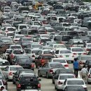 치유동물의료센터 이미지