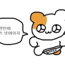 이안왁싱