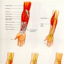 사직마디의원 이미지