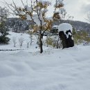 만길농장 이미지