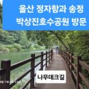송정 박상진호수공원 야외공연장 주변 | 8/11과 8/13 울산 정자항/해변과 박상진호수공원, 지관서가 카페 방문 체험기