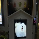 아이언 PC Cafe | Collection part(13) 2022.술집 "카페 오타" in 경성대 / 경성대 술집 추천