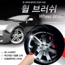 카렉스