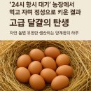 방송양계장 이미지