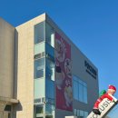 포커시스 디자인 아카이브 | [안성 칠곡저수지 카페] 포커시스디자인 아카이브, 찐후기