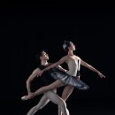 GS아트센터 이미지