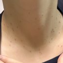 본가정의학과의원 이미지