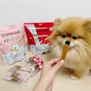 (주)덴탈라인시스템 | 강아지 덴탈껌 A2 이지츄 도그시그널 입냄새 치석관리