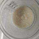 184 | 생후 180~184일 토핑 이유식 소고기, 애호박 후기