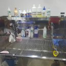 해운대 펫택시 이미지