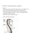 53장 봉공근 Satorius(surreptitious accomplice) 이미지