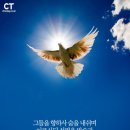 성령 카카오 검색결과