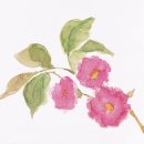 수채 천아트 이미지