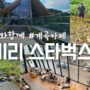 꼬마네식당 이미지