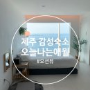 오늘나는애월 | [제주도]오늘나는애월 오션뷰 감성 숙소 디테일 리뷰(내돈내산)