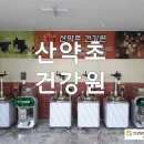 보양건강원 이미지