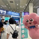 에듀플러스 이미지