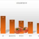 연시 효능 변비 부작용 연시 칼로리 이미지