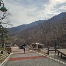 함양-1 | 함양 대봉캠핑랜드 1캠핑장 후기｜12번 사이트 솔직후기, 2캠핑장 안 간 거 후회함