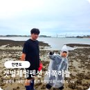 서쪽하늘펜션 | 태안 안면도 갯벌체험 서쪽하늘펜션 내돈내산후기