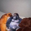 진섭농장 이미지